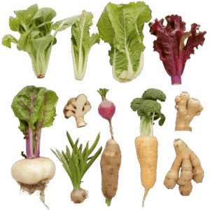 pngtree-exotic-vegetables-and-edible-roots-png-image_12004012